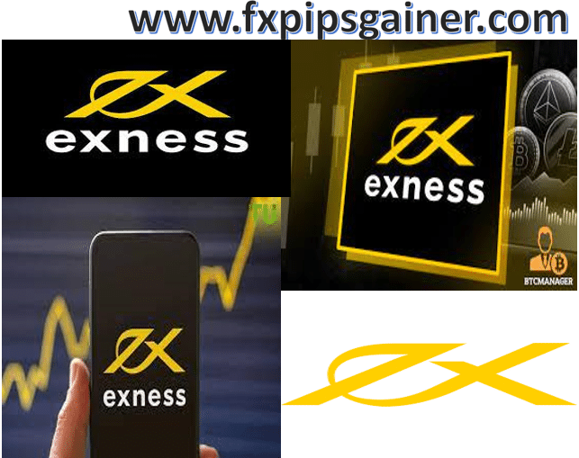 Start Exness Trading Your Guide to Success Start Exness Trading Your Guide to Success