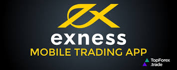 Understanding the Features and Benefits of Exness Indonesia Broker